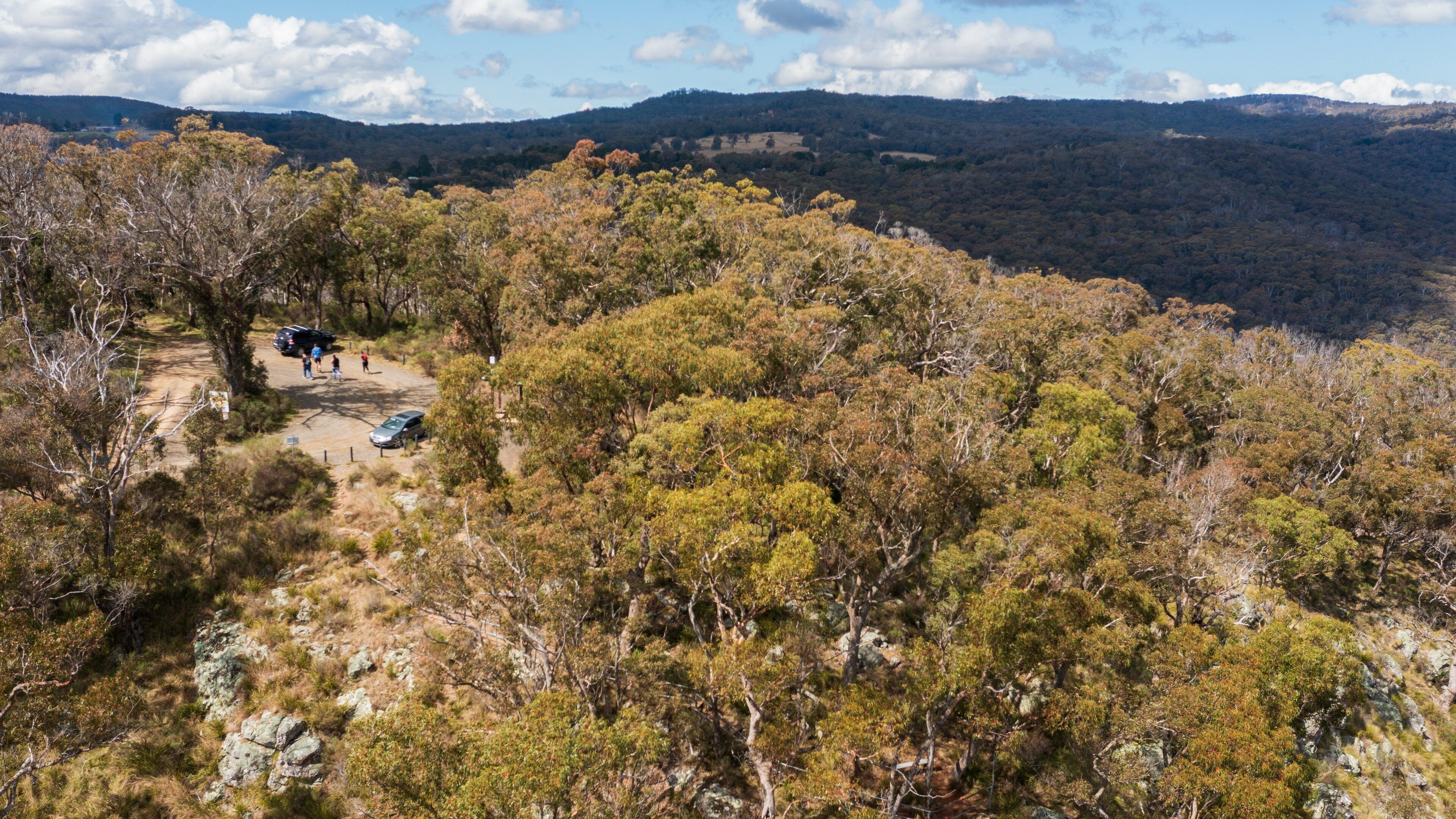 Chaffey Dam featuring forests and tranquil scenes