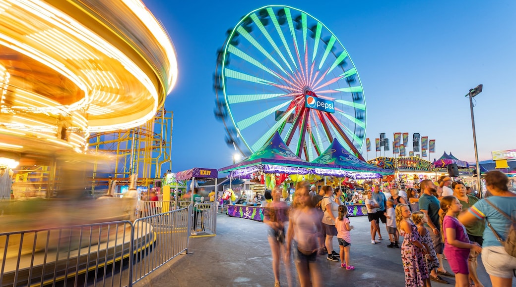 Jolly Roger at the Pier featuring night scenes and rides as well as a large group of people