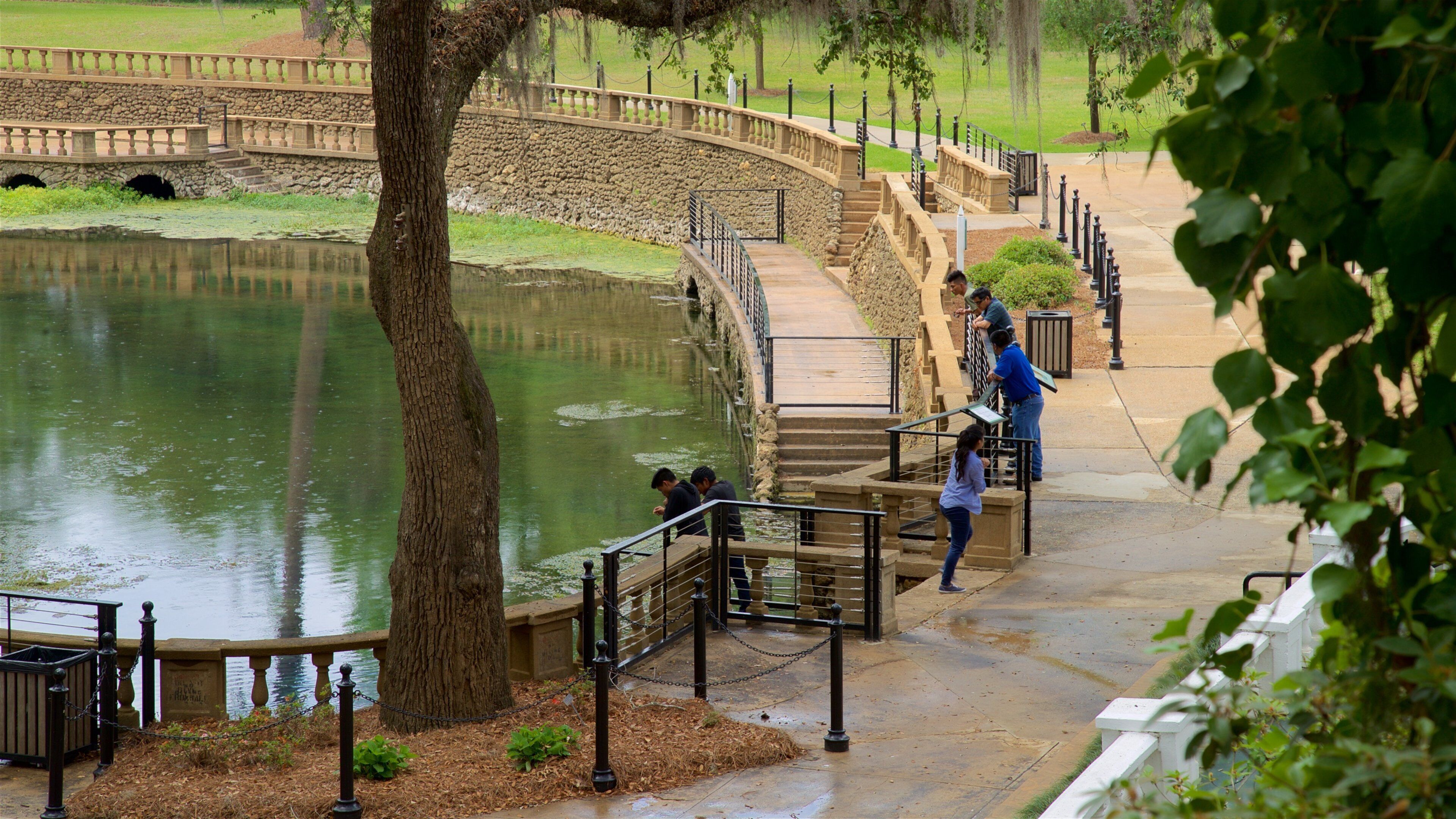 レイディアム スプリングス ガーデンズ 表示 池 及び 少数の人々