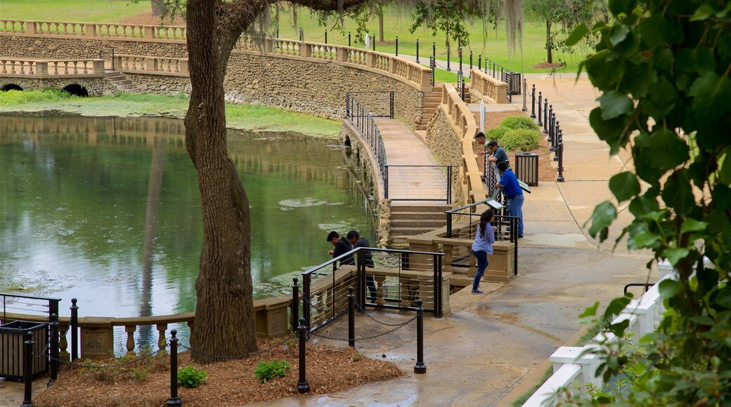 Radium Springs Gardens which includes a pond as well as a small group of people
