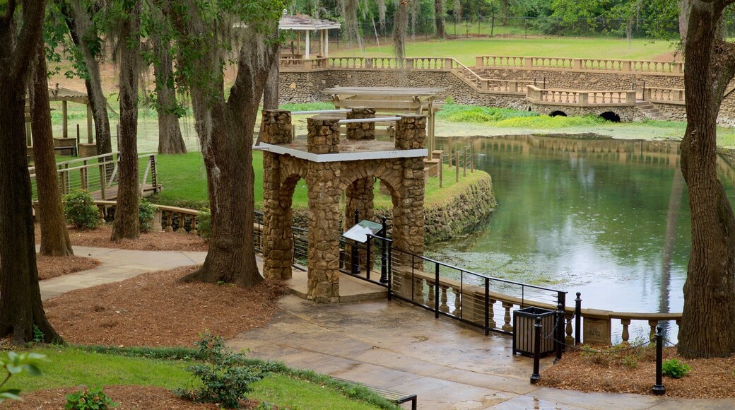 Radium Springs Gardens which includes a river or creek and a park