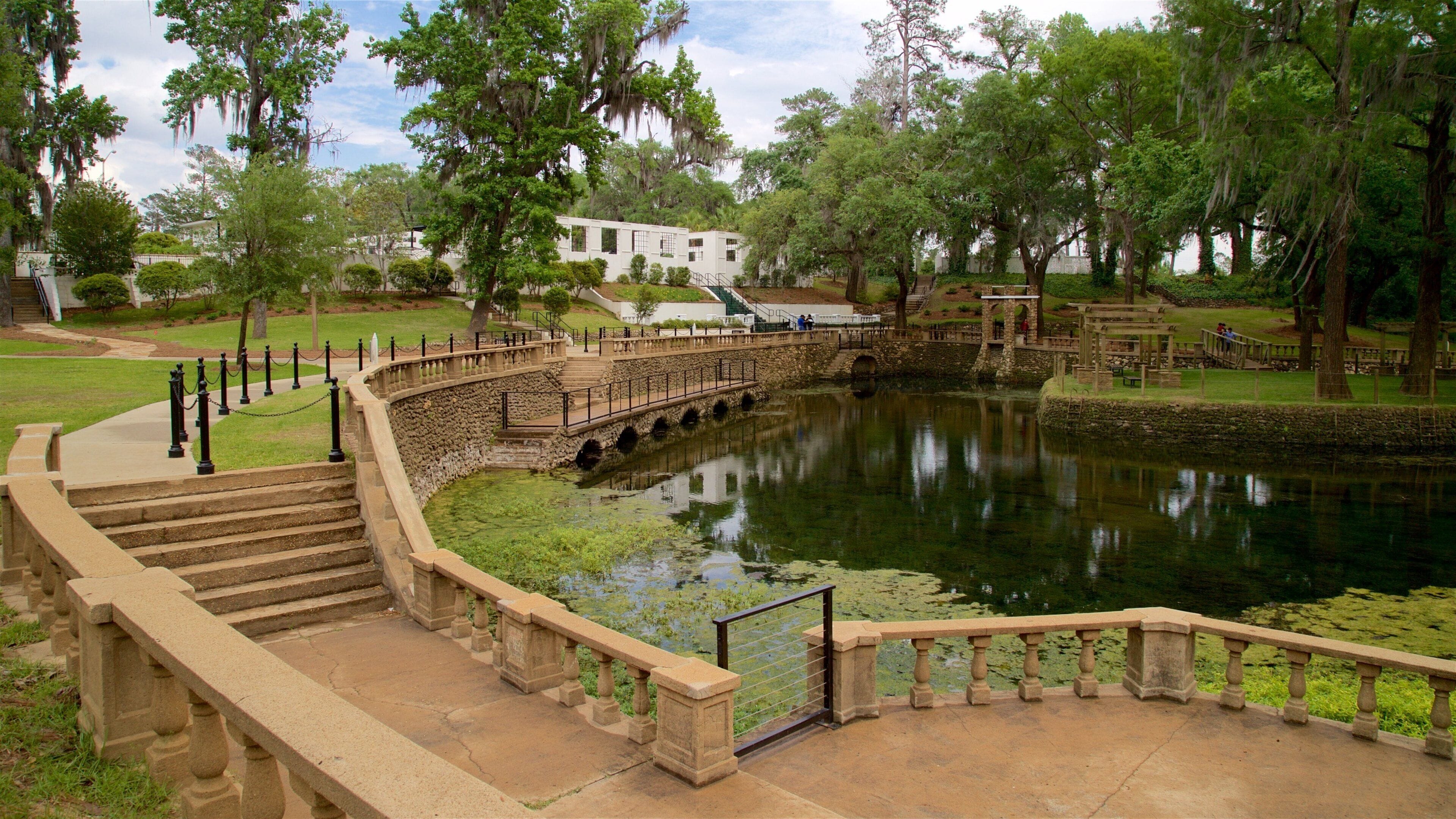 Jardines de Radium Springs ofreciendo un estanque y un parque