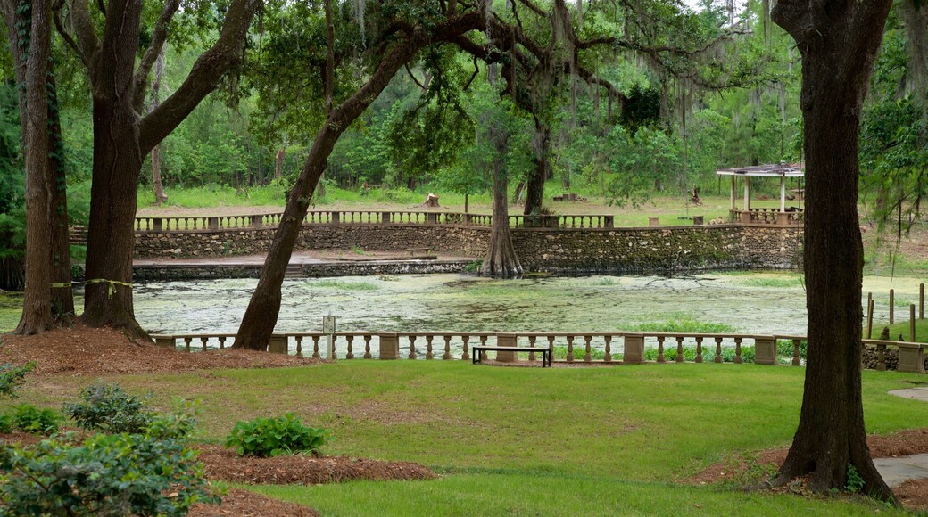 Radium Springs Gardens showing a pond and a park