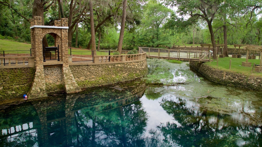 Radium Springs Gardens featuring a garden, a bridge and a pond
