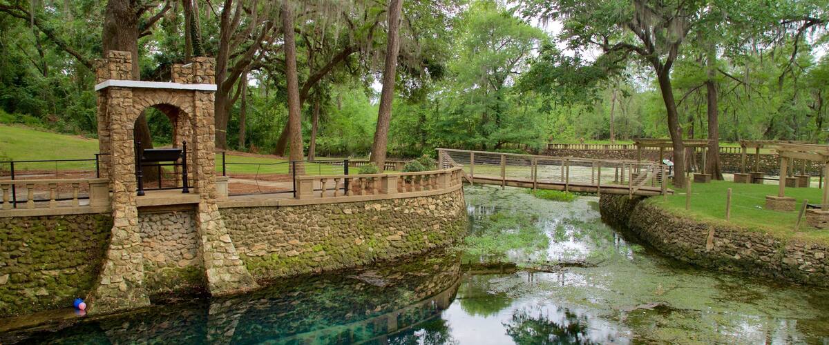 Radium Springs Gardens featuring a pond, a bridge and a garden