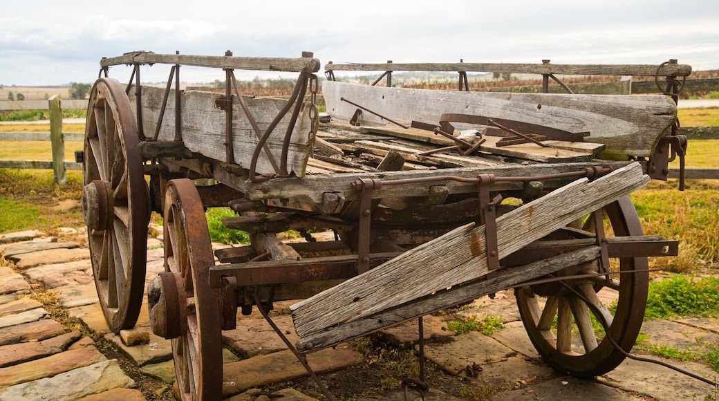 Glengallan Homestead and Heritage Centre featuring heritage elements