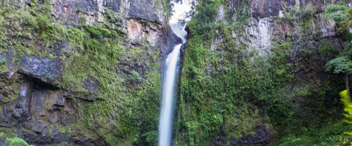 You won't just stumble upon this 50m high beauty! Pull off the Palmerston highway into an unassuming looking carpark and then follow the signs. The walking track is 2.4km return and while not too difficult is uneven and along the rainforest floor. Definitely worth a little bit of a hike though!
www.cheskiesgaplife.com