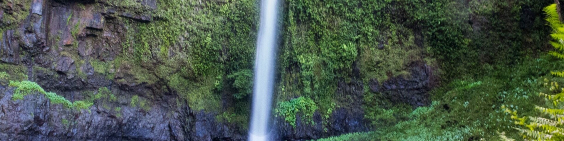 You won't just stumble upon this 50m high beauty! Pull off the Palmerston highway into an unassuming looking carpark and then follow the signs. The walking track is 2.4km return and while not too difficult is uneven and along the rainforest floor. Definitely worth a little bit of a hike though!
www.cheskiesgaplife.com