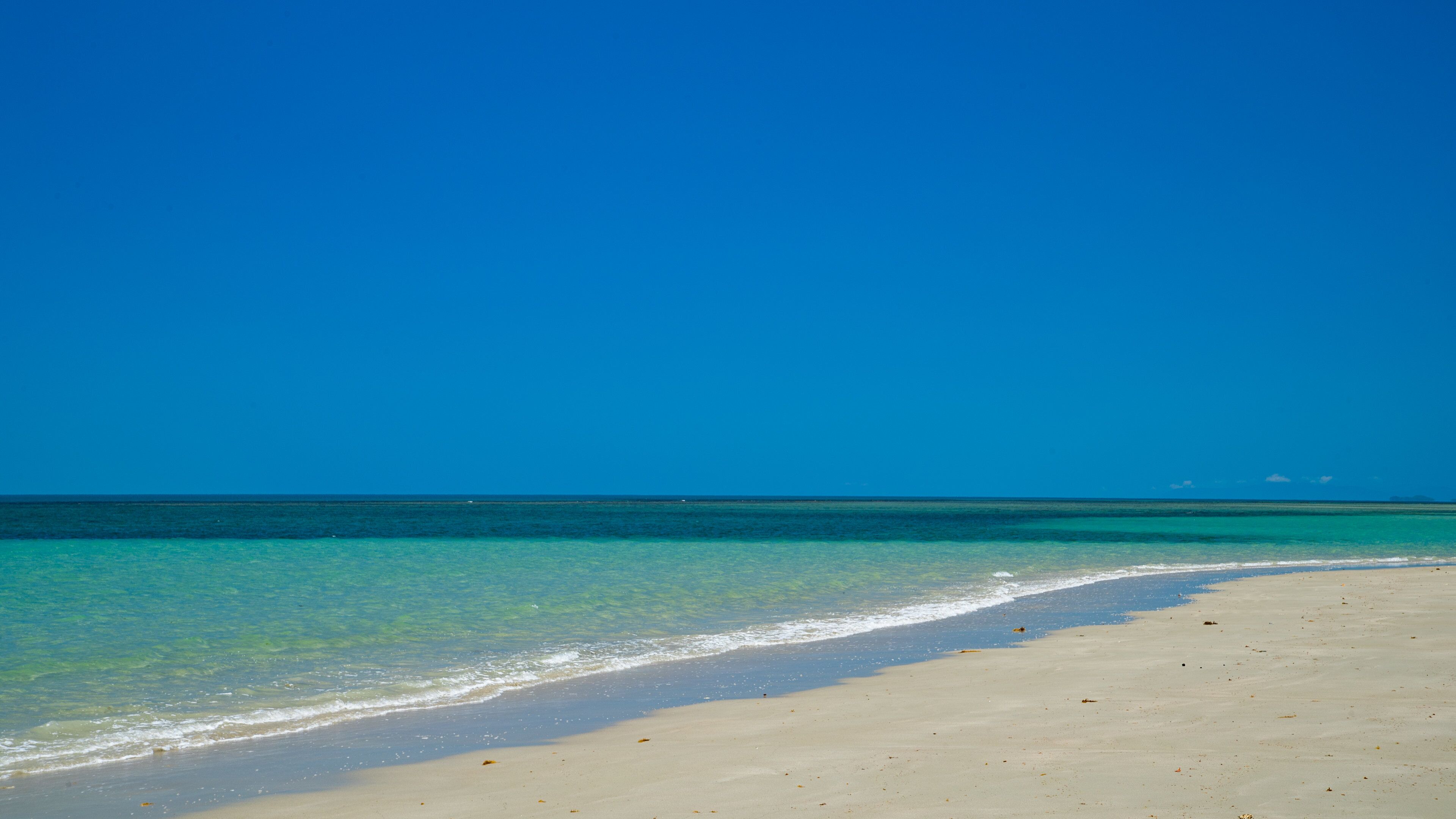 Myall Beach which includes a sandy beach, general coastal views and tropical scenes