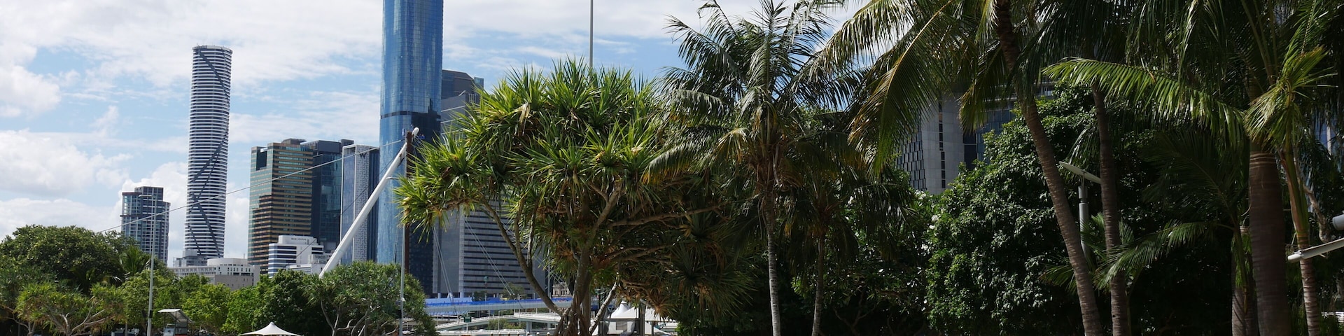 Una piscina con palmeras y un horizonte urbano al fondo.