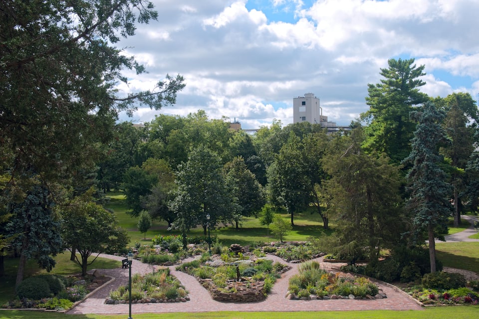 A lush park with a winding path, diverse vegetation, and a distant building.