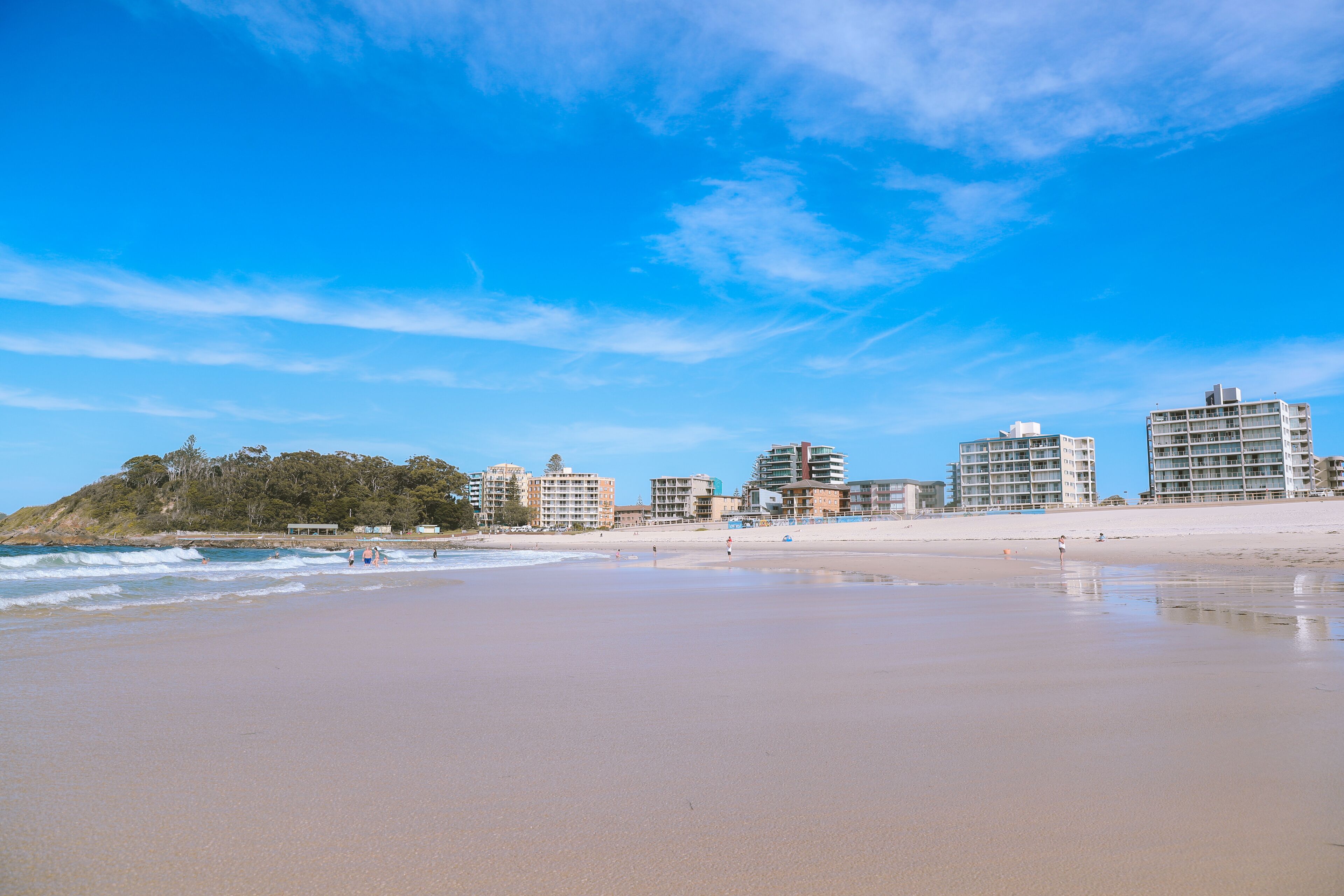 Bird on the beach, Forster, Australia
