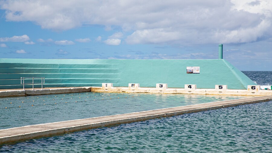 Newcastle Ocean Baths showing general coastal views and a pool