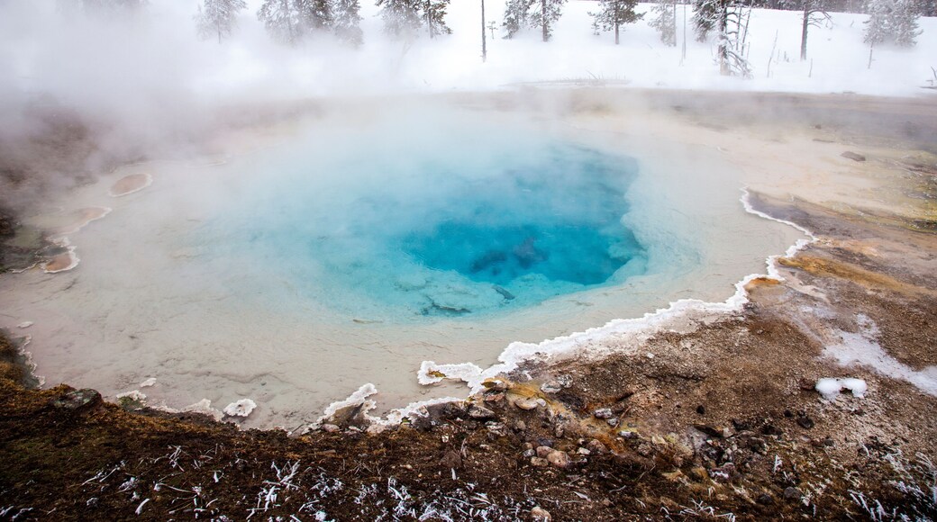 Winter in Yellowstone