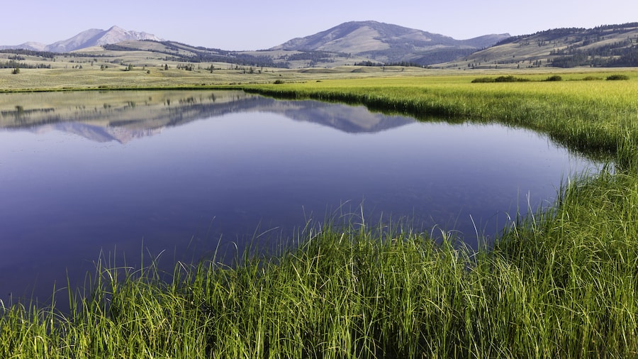 Yellowstone Park West Entrance