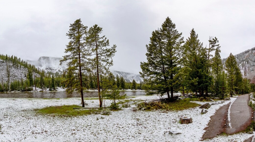 Ingresso Ovest del Parco Nazionale di Yellowstone