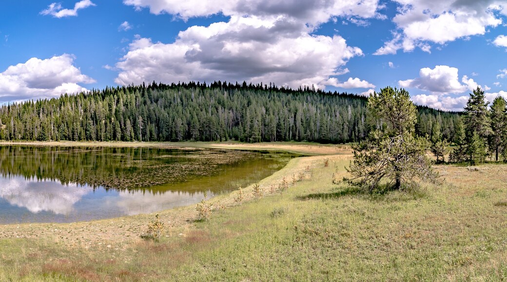 Ingresso Ovest del Parco Nazionale di Yellowstone