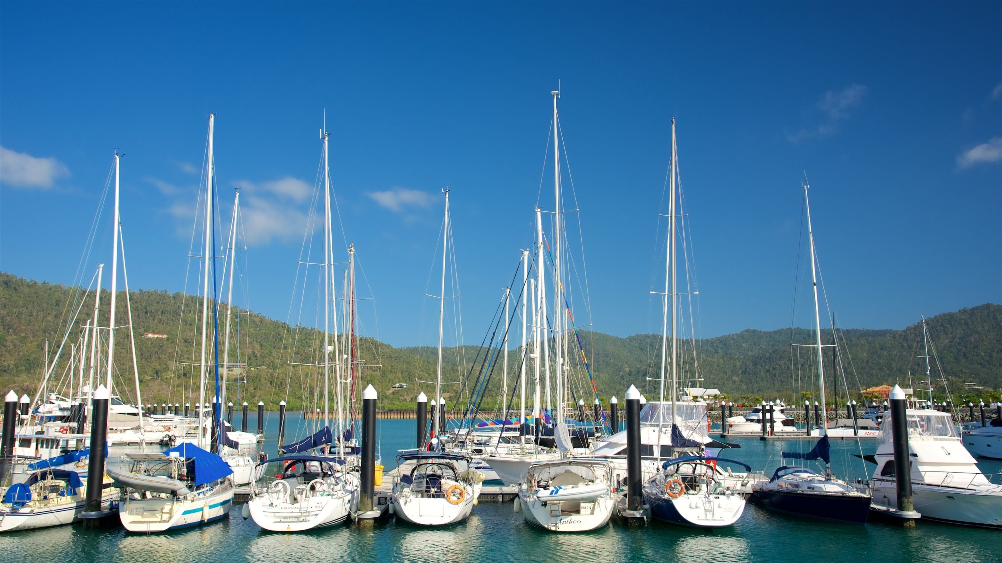 Airlie Beach featuring a bay or harbor, boating and sailing