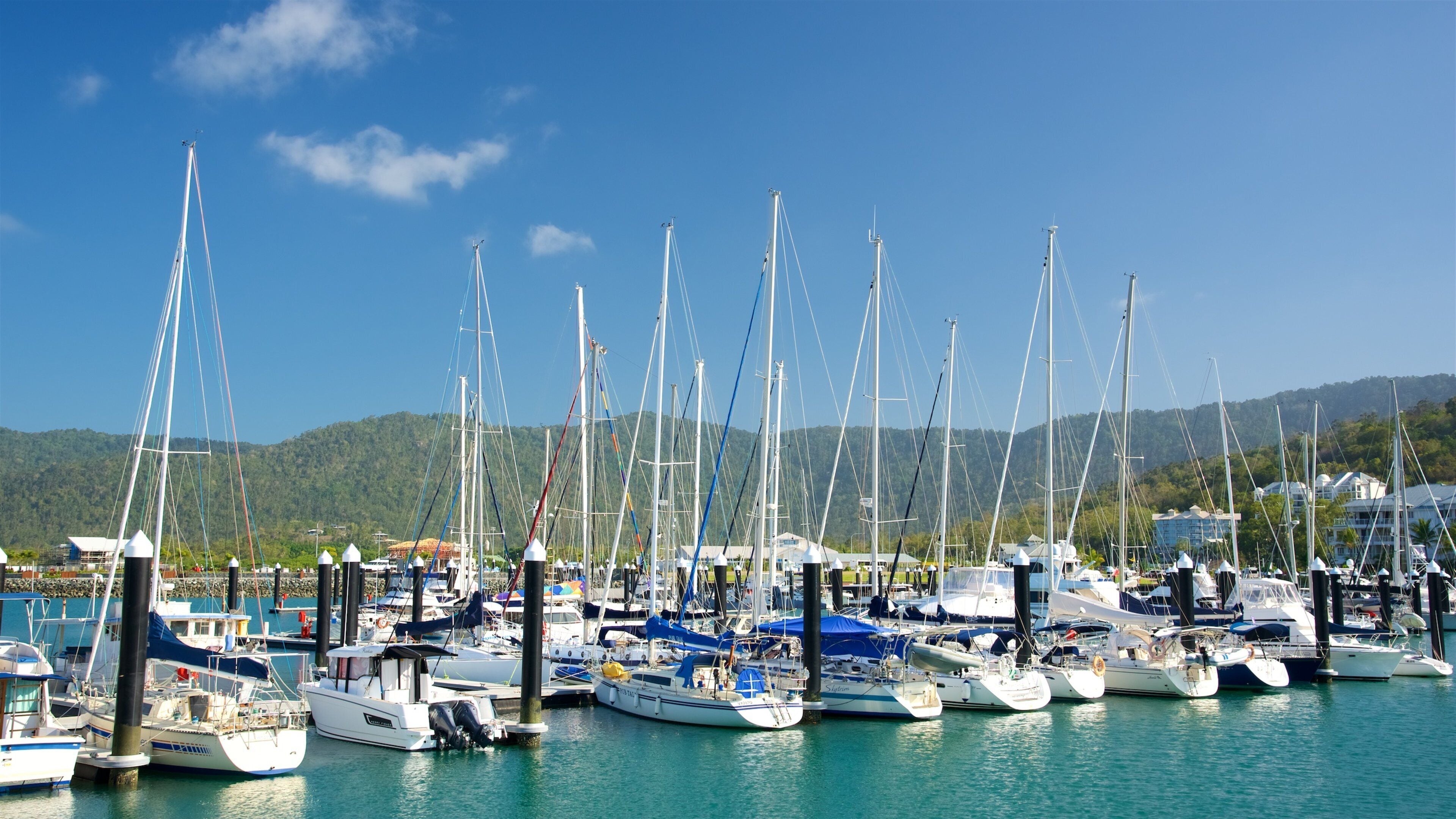 Airlie Beach showing boating, sailing and general coastal views