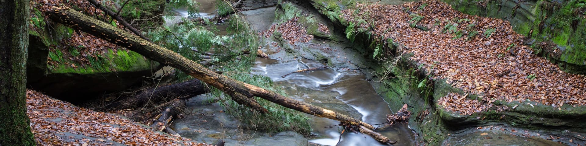 Hocking Hills River Canyon. River flows through a canyon in the Old Mans Cave Area in Hocking Hills State Park in southeastern Ohio.