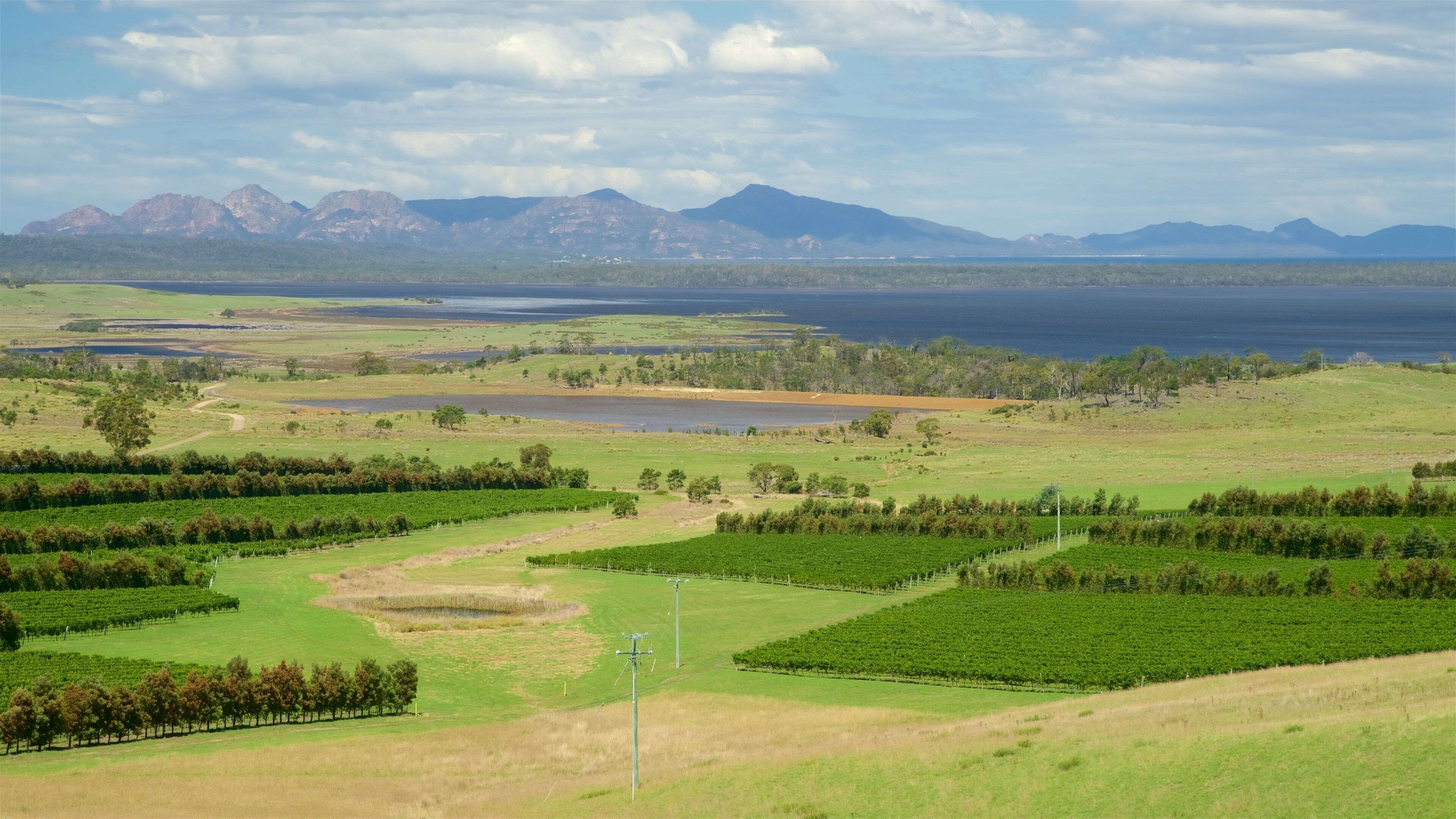 Devil’s Corner Cellar Door showing farmland, landscape views and tranquil scenes