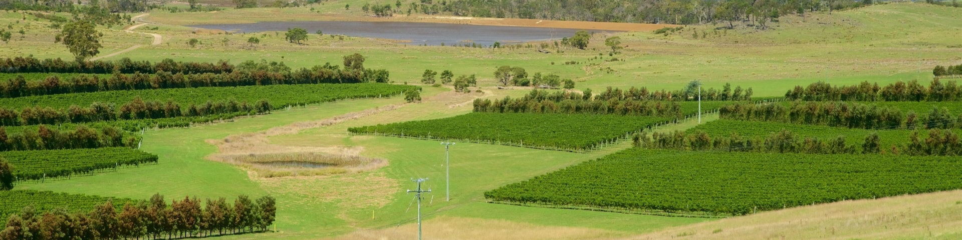 Devilâs Corner Cellar Door showing farmland, landscape views and tranquil scenes