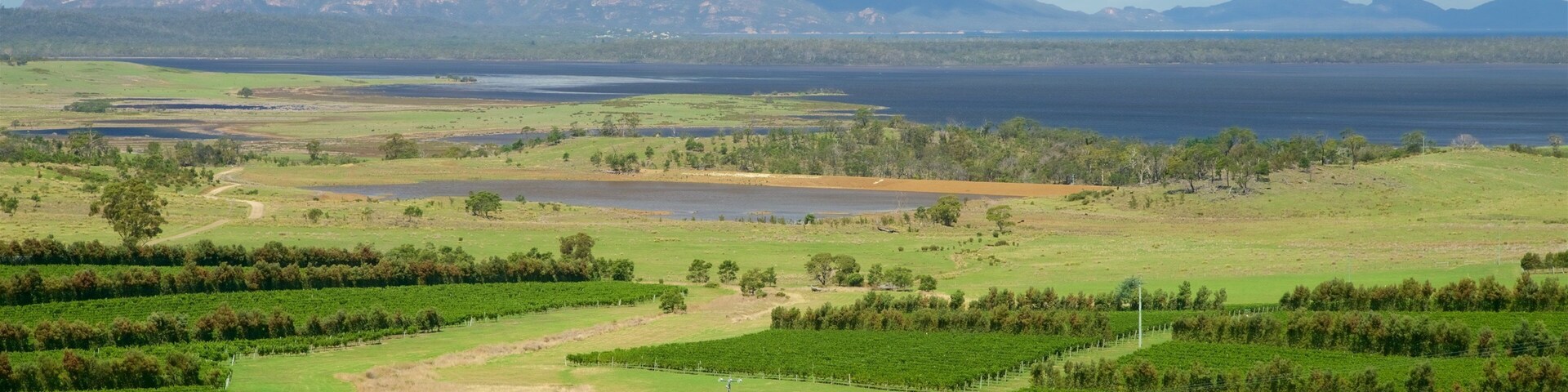 Devil’s Corner Cellar Door showing farmland, landscape views and tranquil scenes