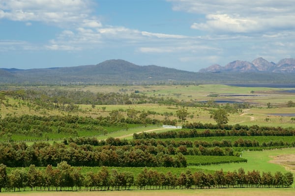 Swansea das einen Landschaften, Farmland und ruhige Szenerie