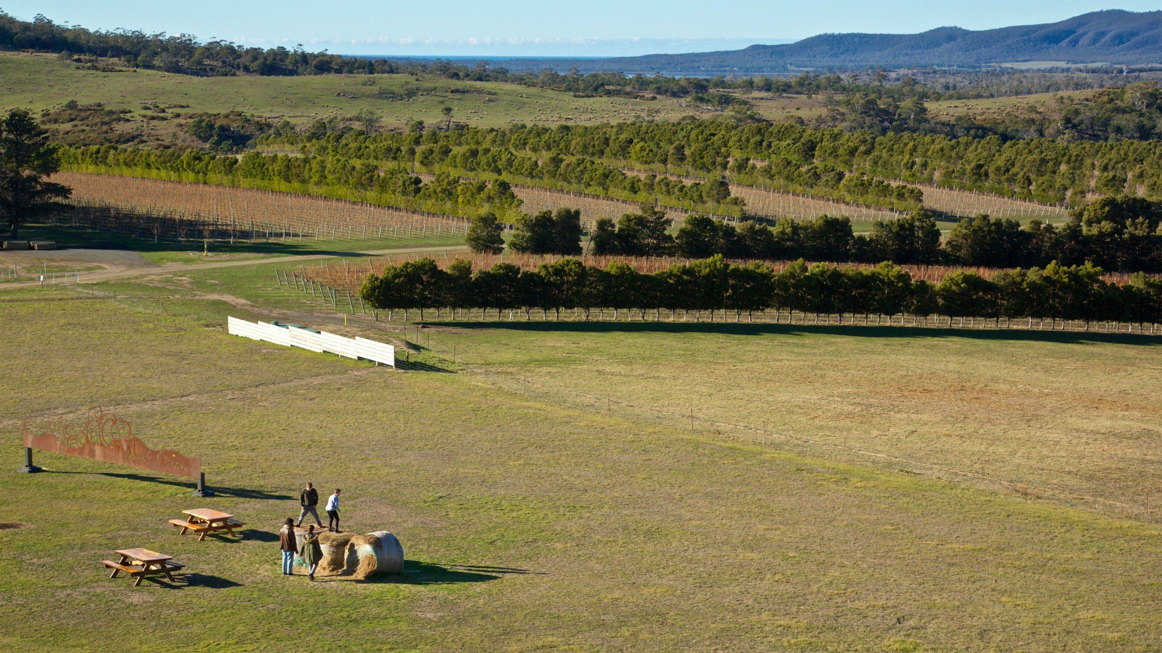 Devil’s Corner Cellar Door showing landscape views and farmland as well as a small group of people