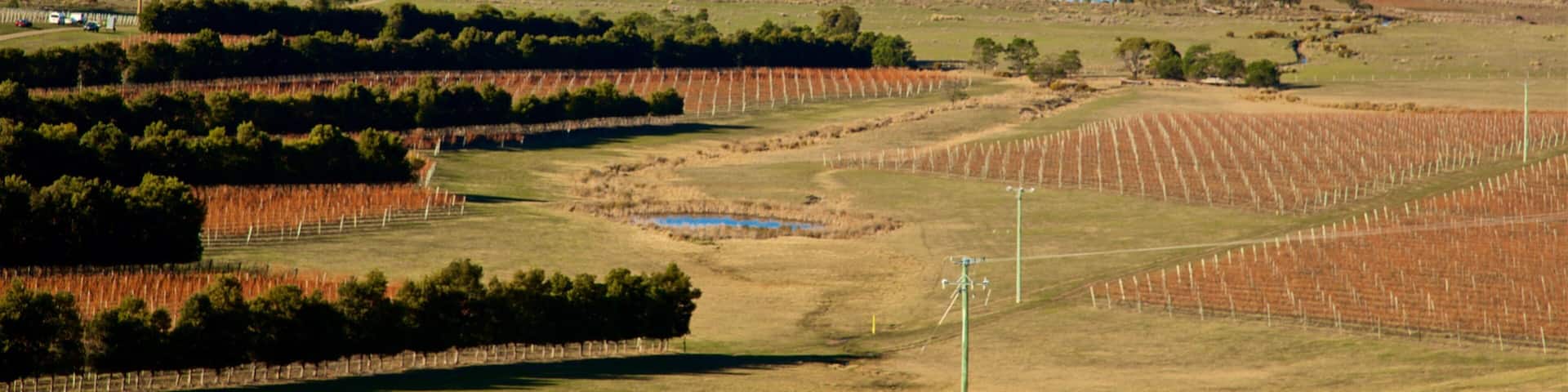Devil’s Corner Cellar Door showing tranquil scenes, farmland and landscape views