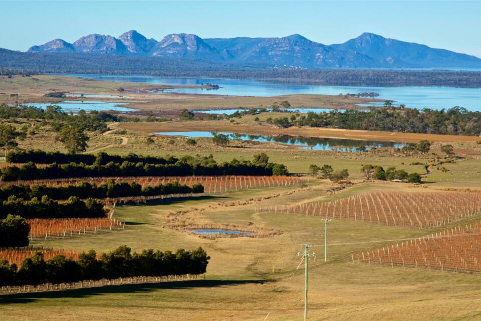 A landscape with a lake, mountains, and agricultural fields.
