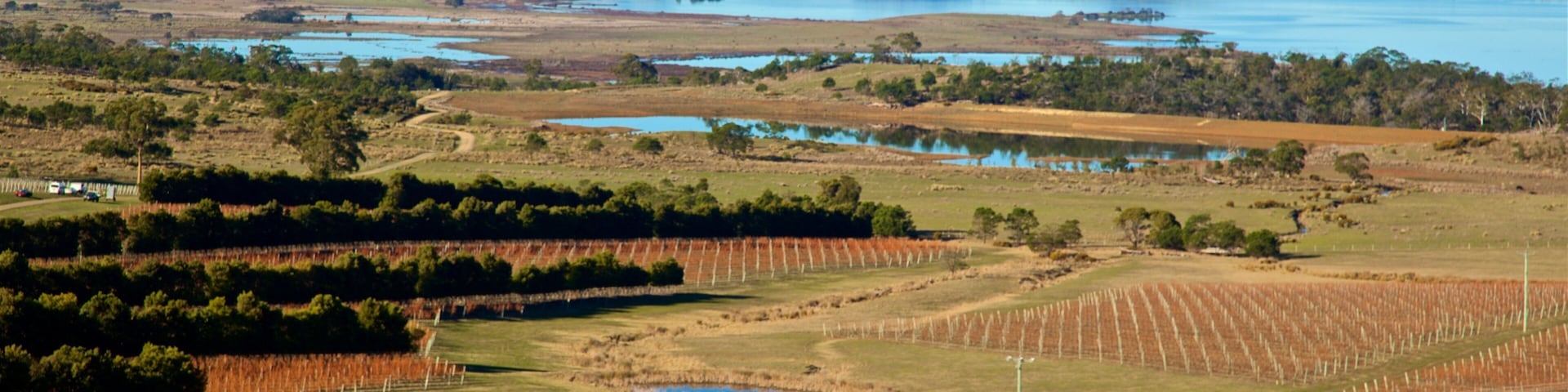 Devil’s Corner Cellar Door showing tranquil scenes, farmland and landscape views