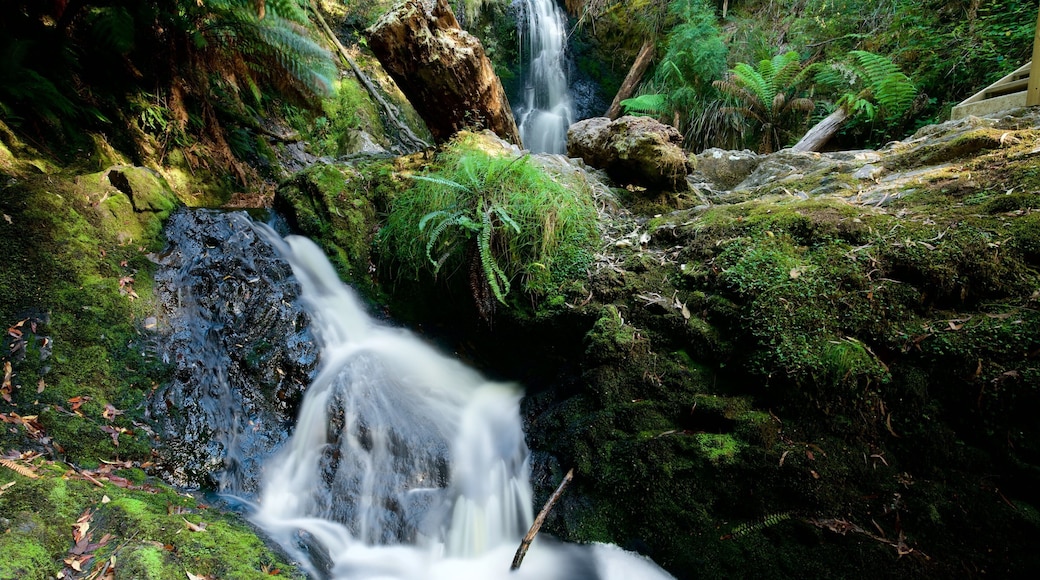 Strahan som viser fossefall og regnskog