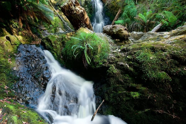 Strahan welches beinhaltet Kaskade und Regenwald