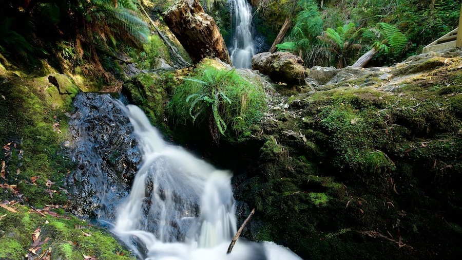 Strahan featuring a waterfall and rainforest