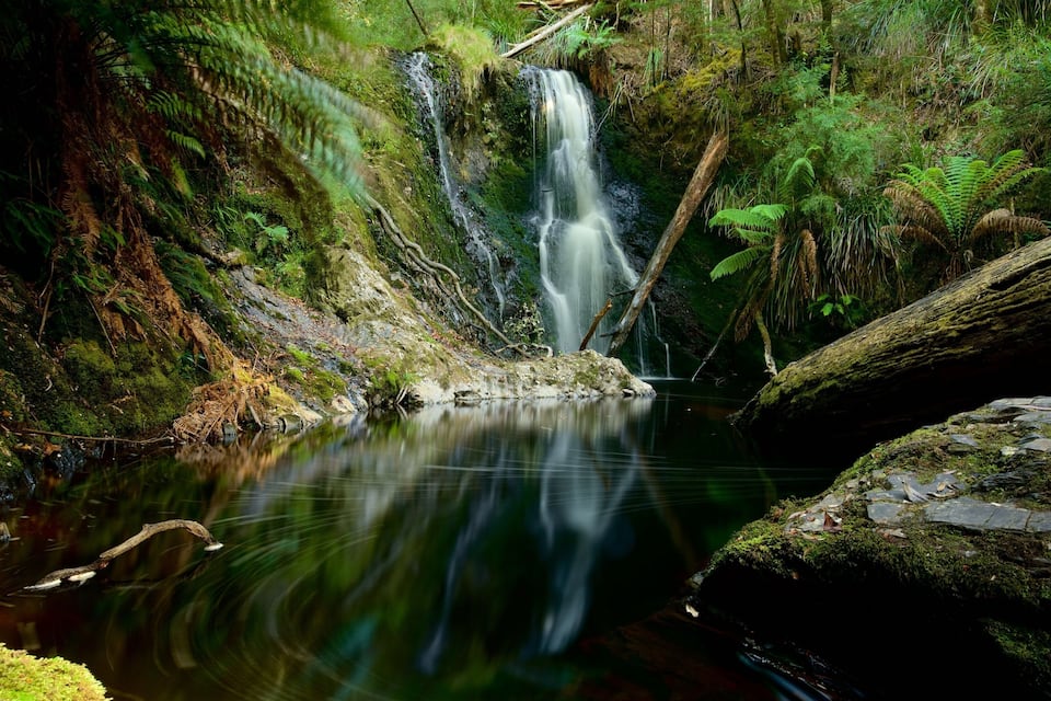 A serene waterfall cascading into a calm pool surrounded by lush greenery and moss-covered rocks.
