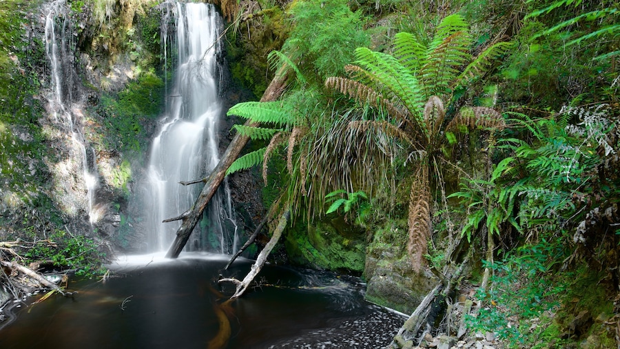 West Coast Tasmania
