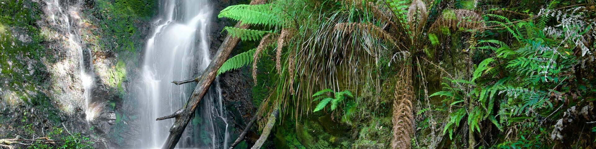 West Coast Tasmania