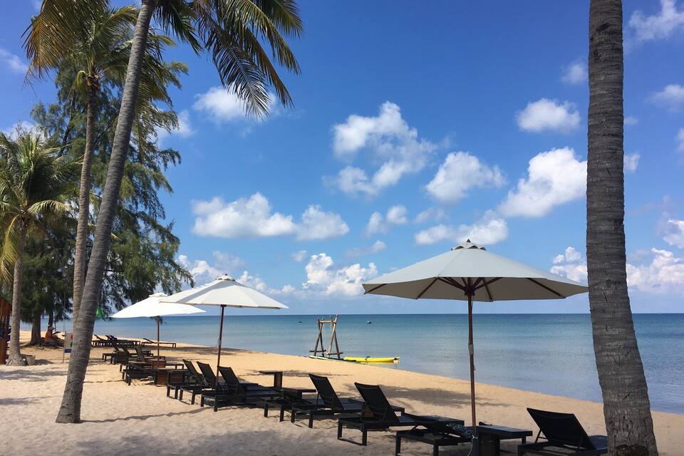 A beach with palm trees, lounge chairs, and umbrellas under a clear blue sky.