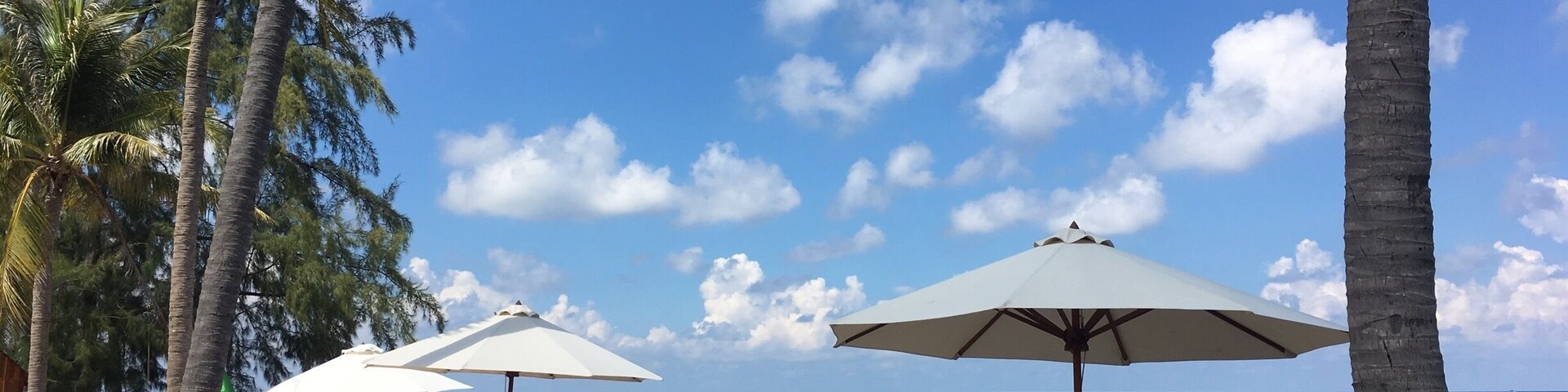 A sunny day