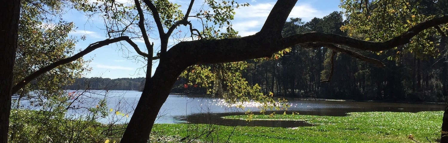Temps in the 80's over Christmas weekend this year make for opportunities to spend time in the great State Parks system of Texas! I found this green, sunny scene along the prairie branch trail on December 23rd. Very strange to this Kansas girl to be sweating it in 80 degree weather on Christmas Eve eve!