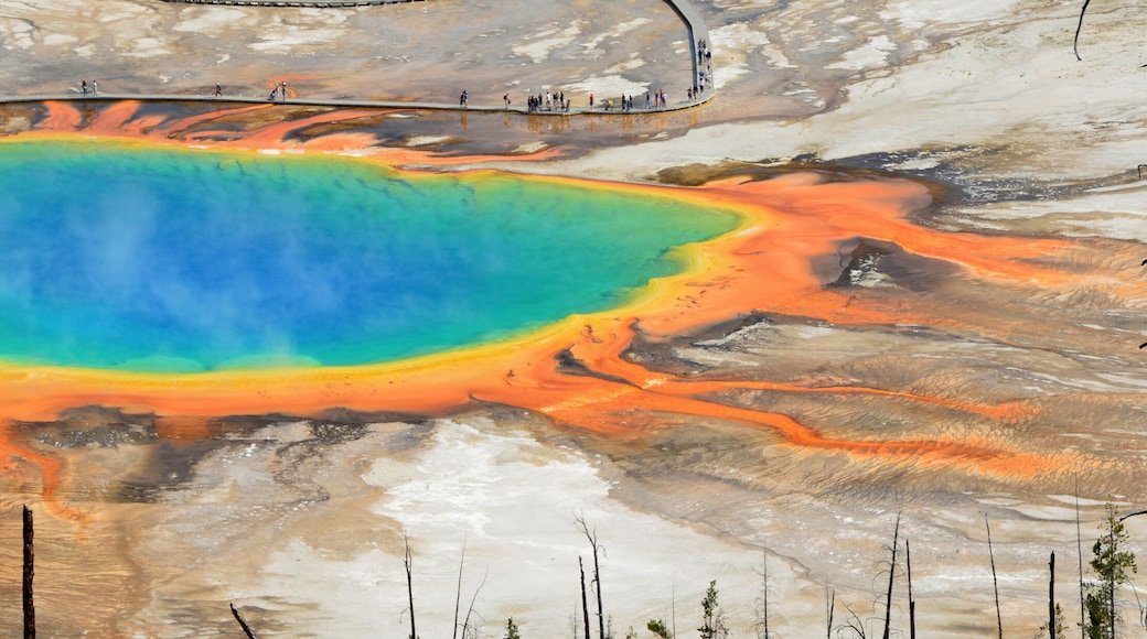 Una piscina geotérmica vibrante con un paisaje circundante desolado.