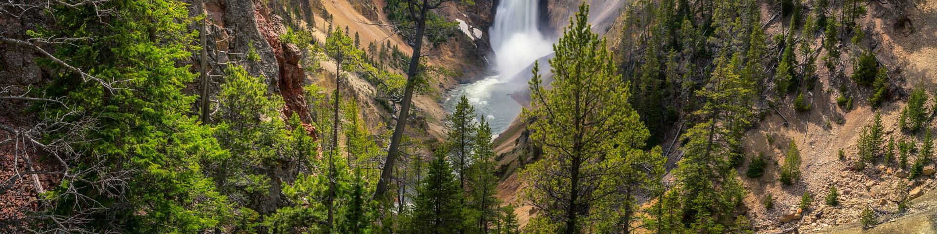 A canyon with a waterfall, surrounded by dense forest.