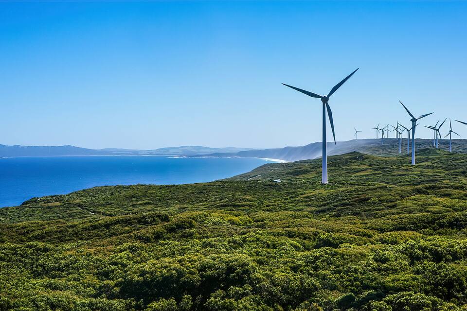 Wind turbines on a coastal hillside with a view of the ocean.
