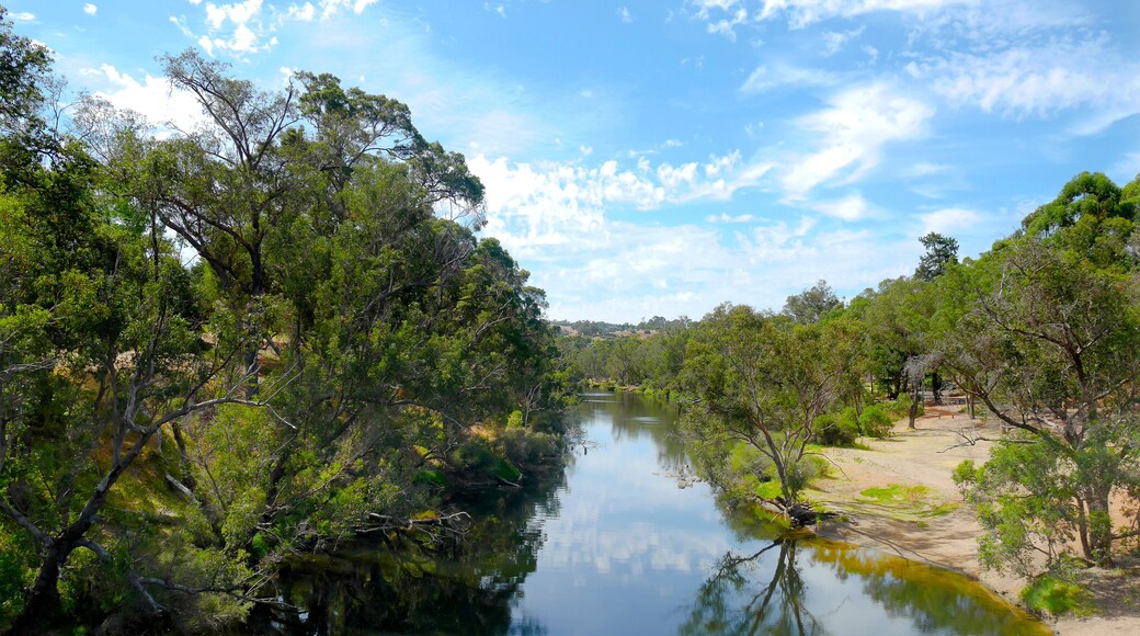 Calm Blackwood River on a sunny day in Bridgetown, Western Australia, Shutterstock ID 484074676, Purchase Order: -
