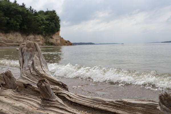 Large driftwood along the bank of Missouri River at the Lewis and Clark Recreation Area, Nebraska