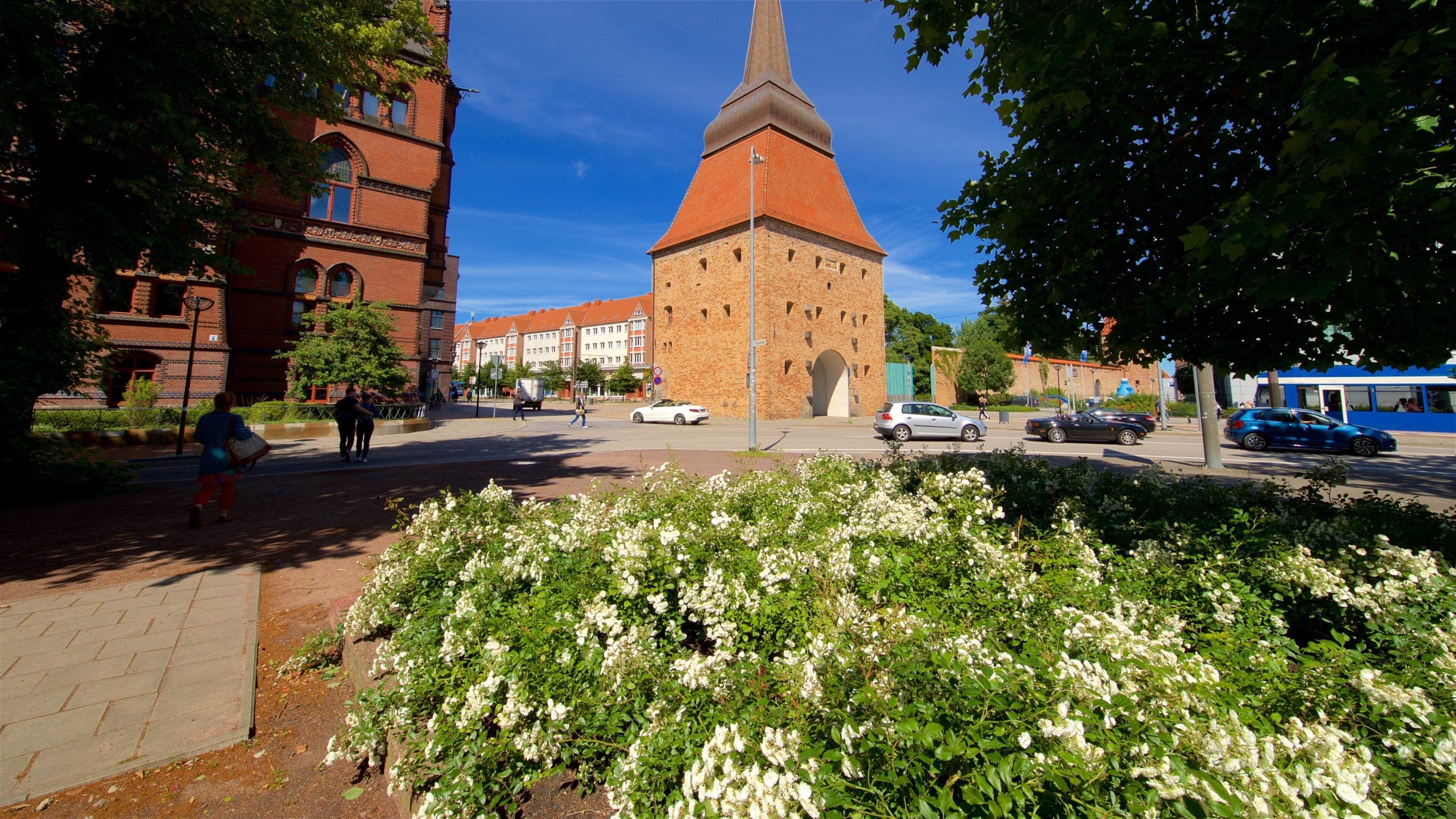 Stone Gate featuring heritage architecture and wild flowers