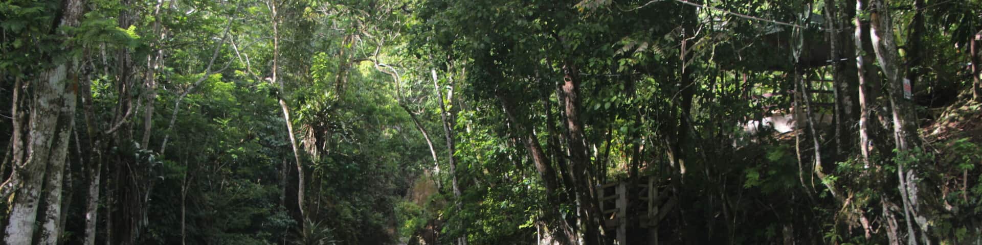 Jamaica, Cool Blue Hole - Ocho Rios