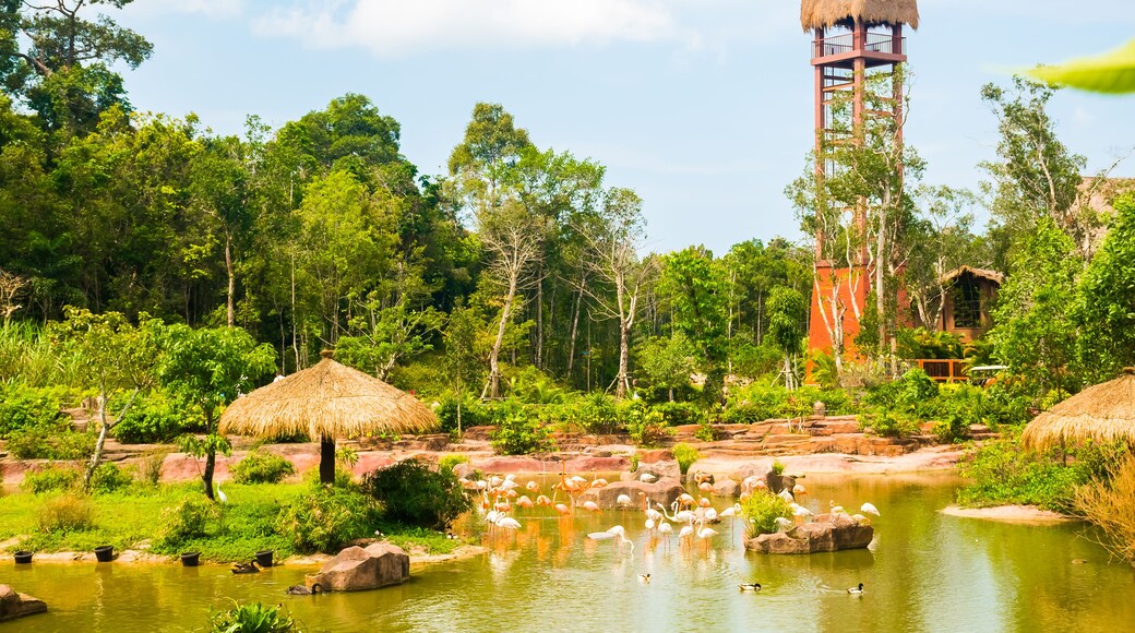 Largest zoological park in Vietnam - Vinpearl Safari Phu Quoc park with exotic flora and fauna, Phu Quoc in Vietnam