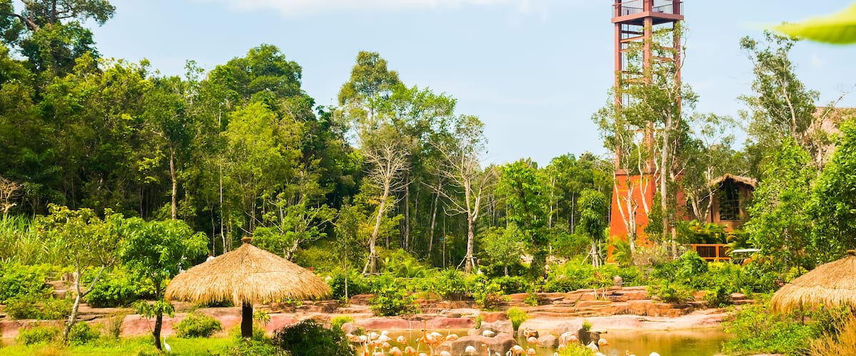 Largest zoological park in Vietnam - Vinpearl Safari Phu Quoc park with exotic flora and fauna, Phu Quoc in Vietnam